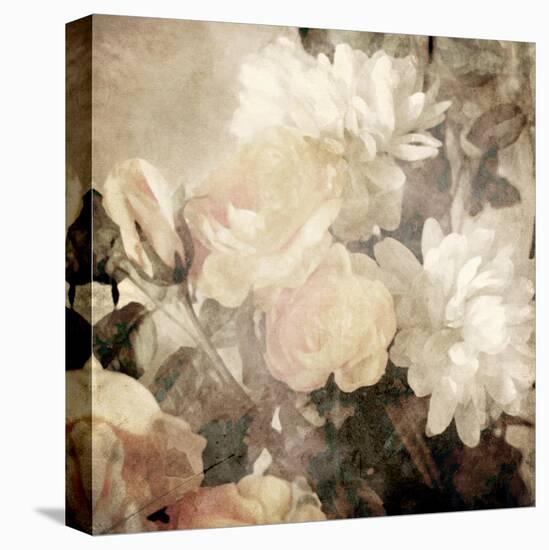 Art Floral Vintage Light Sepia Blurred Background with White Asters and Roses-Irina QQQ-Stretched Canvas