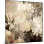 Art Floral Vintage Light Sepia Blurred Background with White Asters and Roses-Irina QQQ-Mounted Art Print