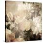 Art Floral Vintage Light Sepia Blurred Background with White Asters and Roses-Irina QQQ-Stretched Canvas