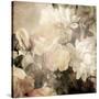 Art Floral Vintage Light Sepia Blurred Background with White Asters and Roses-Irina QQQ-Stretched Canvas