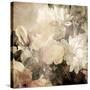 Art Floral Vintage Light Sepia Blurred Background with White Asters and Roses-Irina QQQ-Stretched Canvas