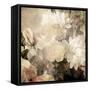 Art Floral Vintage Light Sepia Blurred Background with White Asters and Roses-Irina QQQ-Framed Stretched Canvas