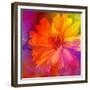 Art Floral Vintage Rainbow Background with Asters-Irina QQQ-Framed Premium Giclee Print