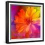 Art Floral Vintage Rainbow Background with Asters-Irina QQQ-Framed Premium Giclee Print