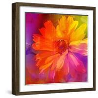 Art Floral Vintage Rainbow Background with Asters-Irina QQQ-Framed Art Print