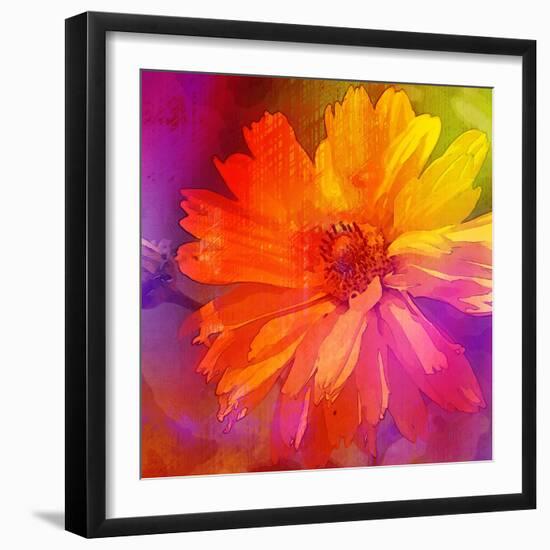 Art Floral Vintage Rainbow Background with Asters-Irina QQQ-Framed Art Print