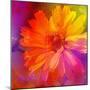 Art Floral Vintage Rainbow Background with Asters-Irina QQQ-Mounted Art Print