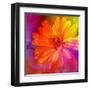 Art Floral Vintage Rainbow Background with Asters-Irina QQQ-Framed Art Print