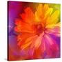 Art Floral Vintage Rainbow Background with Asters-Irina QQQ-Stretched Canvas