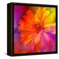 Art Floral Vintage Rainbow Background with Asters-Irina QQQ-Framed Stretched Canvas