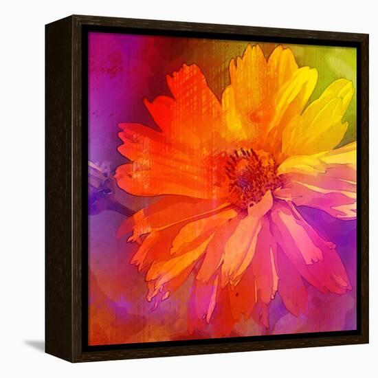 Art Floral Vintage Rainbow Background with Asters-Irina QQQ-Framed Stretched Canvas