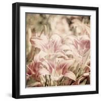 Art Floral Vintage Sepia Background with Light Pink Lilies-Irina QQQ-Framed Art Print