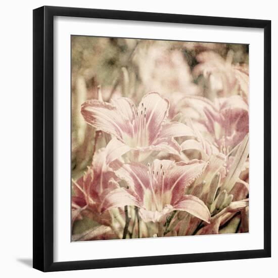 Art Floral Vintage Sepia Background with Light Pink Lilies-Irina QQQ-Framed Art Print