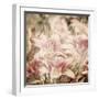 Art Floral Vintage Sepia Background with Light Pink Lilies-Irina QQQ-Framed Art Print