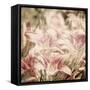 Art Floral Vintage Sepia Background with Light Pink Lilies-Irina QQQ-Framed Stretched Canvas