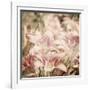 Art Floral Vintage Sepia Background with Light Pink Lilies-Irina QQQ-Framed Art Print