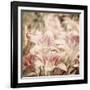 Art Floral Vintage Sepia Background with Light Pink Lilies-Irina QQQ-Framed Art Print