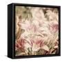 Art Floral Vintage Sepia Background with Light Pink Lilies-Irina QQQ-Framed Stretched Canvas