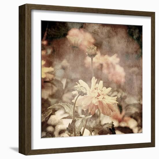 Art Floral Vintage Sepia Background with Light Yellow Chamomiles-Irina QQQ-Framed Art Print