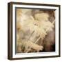 Art Floral Vintage Sepia Background with Light Yellow Chamomiles-Irina QQQ-Framed Art Print