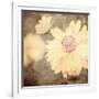 Art Floral Vintage Sepia Background with One Light Yellow Chamomile-Irina QQQ-Framed Art Print