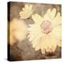 Art Floral Vintage Sepia Background with One Light Yellow Chamomile-Irina QQQ-Stretched Canvas