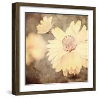 Art Floral Vintage Sepia Background with One Light Yellow Chamomile-Irina QQQ-Framed Art Print