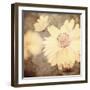 Art Floral Vintage Sepia Background with One Light Yellow Chamomile-Irina QQQ-Framed Art Print