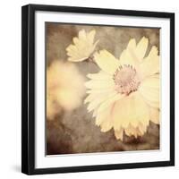 Art Floral Vintage Sepia Background with One Light Yellow Chamomile-Irina QQQ-Framed Art Print