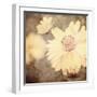 Art Floral Vintage Sepia Background with One Light Yellow Chamomile-Irina QQQ-Framed Art Print