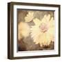 Art Floral Vintage Sepia Background with One Light Yellow Chamomile-Irina QQQ-Framed Art Print