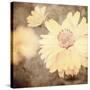 Art Floral Vintage Sepia Background with One Light Yellow Chamomile-Irina QQQ-Stretched Canvas