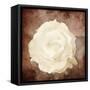 Art Floral Vintage Sepia Background with One White Rose-Irina QQQ-Framed Stretched Canvas