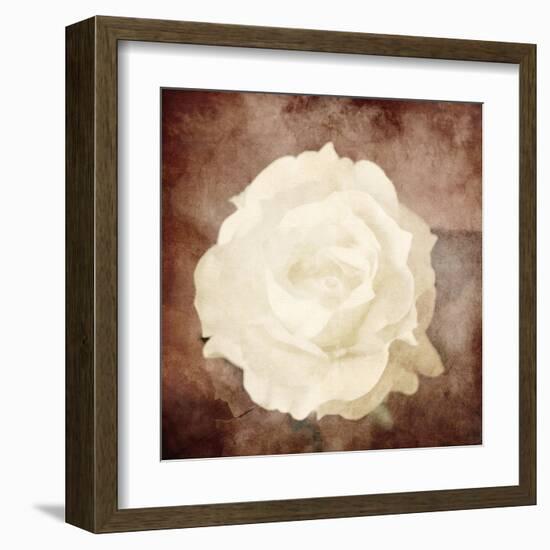 Art Floral Vintage Sepia Background with One White Rose-Irina QQQ-Framed Art Print