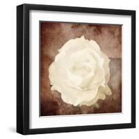 Art Floral Vintage Sepia Background with One White Rose-Irina QQQ-Framed Art Print