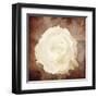 Art Floral Vintage Sepia Background with One White Rose-Irina QQQ-Framed Art Print