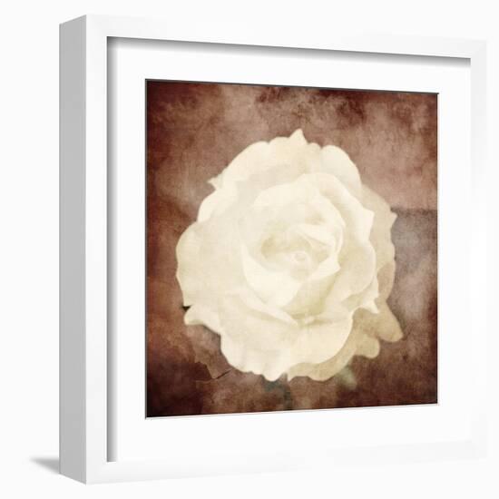 Art Floral Vintage Sepia Background with One White Rose-Irina QQQ-Framed Art Print