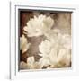 Art Floral Vintage Sepia Background with White Asters-Irina QQQ-Framed Art Print