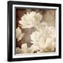 Art Floral Vintage Sepia Background with White Asters-Irina QQQ-Framed Art Print