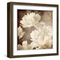 Art Floral Vintage Sepia Background with White Asters-Irina QQQ-Framed Art Print