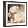 Art Floral Vintage Sepia Background with White Asters-Irina QQQ-Framed Art Print