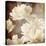 Art Floral Vintage Sepia Background with White Asters-Irina QQQ-Stretched Canvas