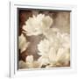Art Floral Vintage Sepia Background with White Asters-Irina QQQ-Framed Premium Giclee Print