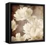Art Floral Vintage Sepia Background with White Asters-Irina QQQ-Framed Stretched Canvas
