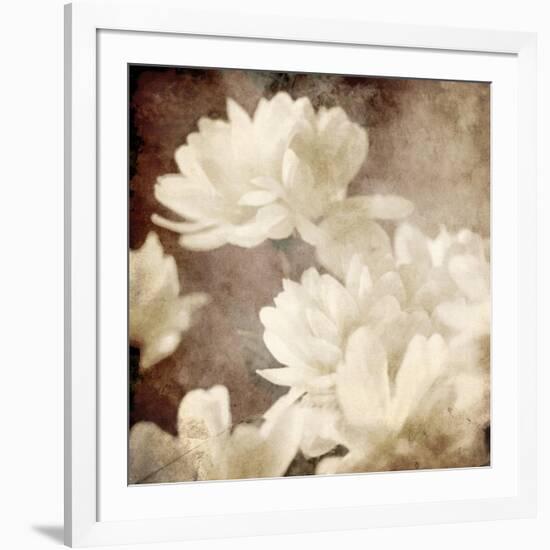 Art Floral Vintage Sepia Background with White Asters-Irina QQQ-Framed Art Print