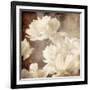 Art Floral Vintage Sepia Background with White Asters-Irina QQQ-Framed Art Print