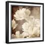 Art Floral Vintage Sepia Background with White Asters-Irina QQQ-Framed Art Print