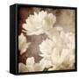 Art Floral Vintage Sepia Background with White Asters-Irina QQQ-Framed Stretched Canvas
