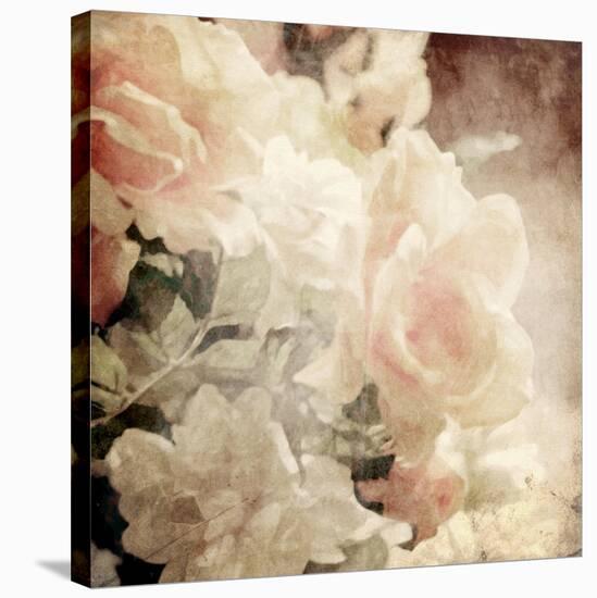 Art Floral Vintage Sepia Background with White Roses-Irina QQQ-Stretched Canvas