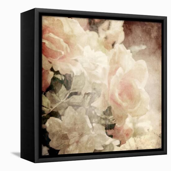 Art Floral Vintage Sepia Background with White Roses-Irina QQQ-Framed Stretched Canvas